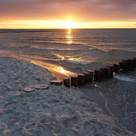 Holiday home Kranich Zingst